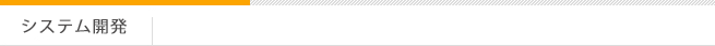システム開発